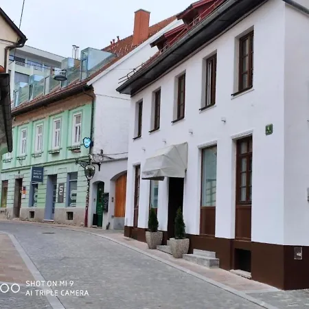 Cross Street 4 3* Ljubljana