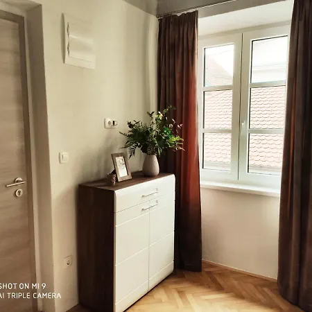 Cross Street 4 Gæstehus Ljubljana