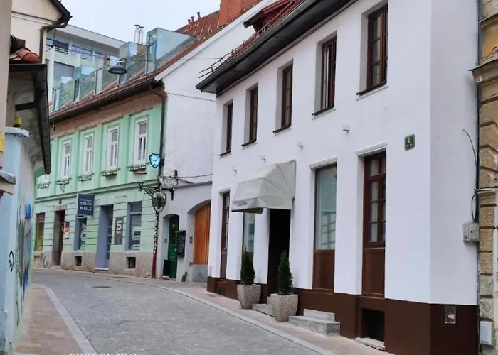 Cross Street 4 3* ليوبليانا