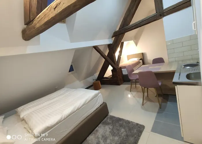 Cross Street 4 بيت ضيافة ليوبليانا